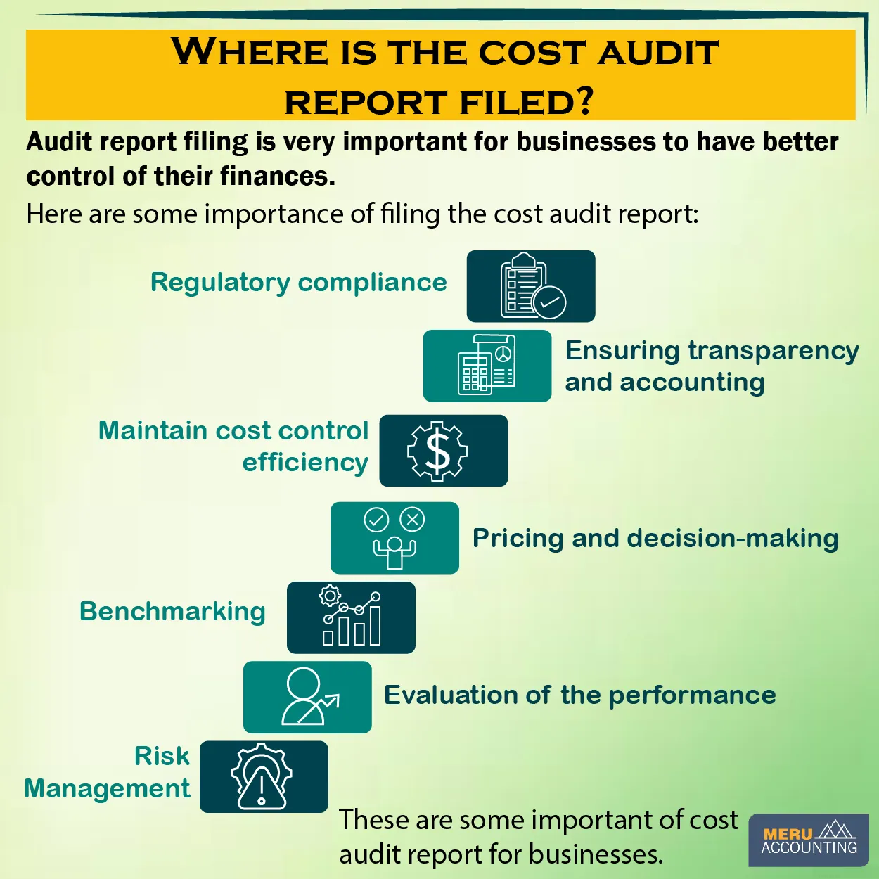 cost audit report