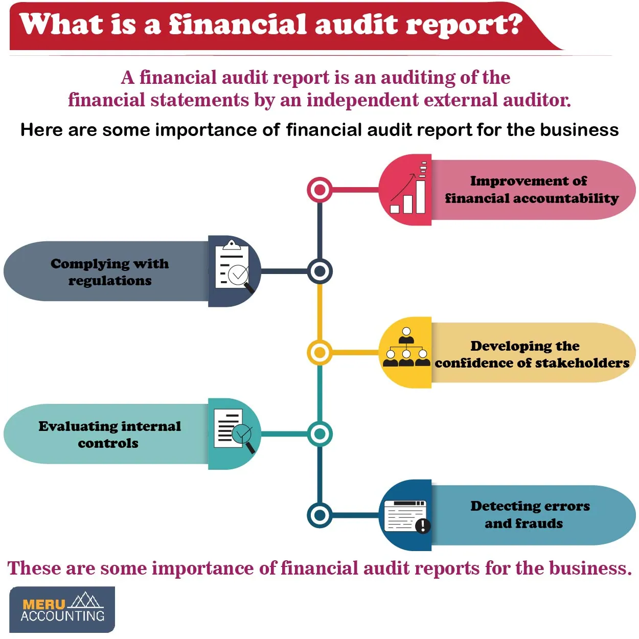 financial audit report