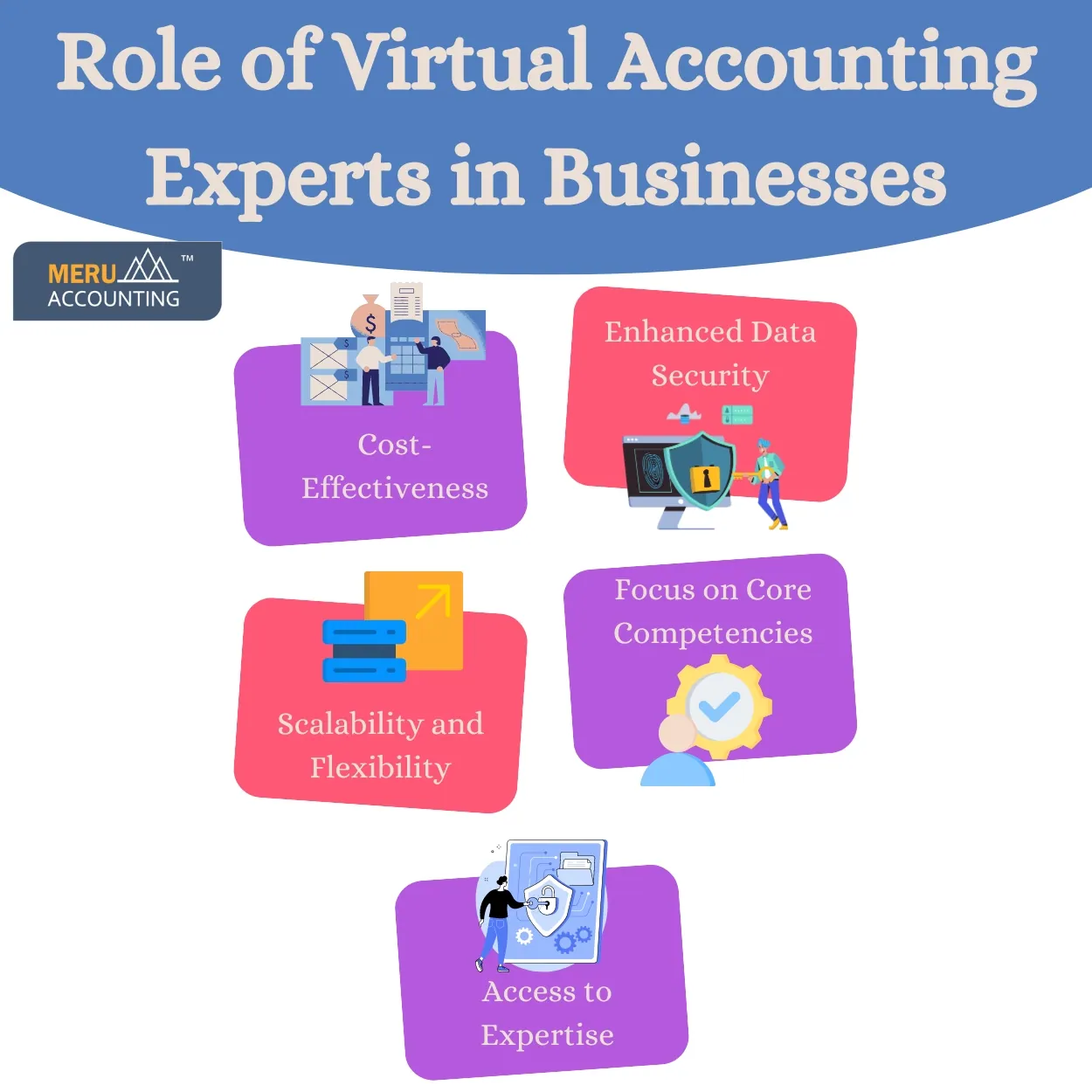 virtual accounting expert