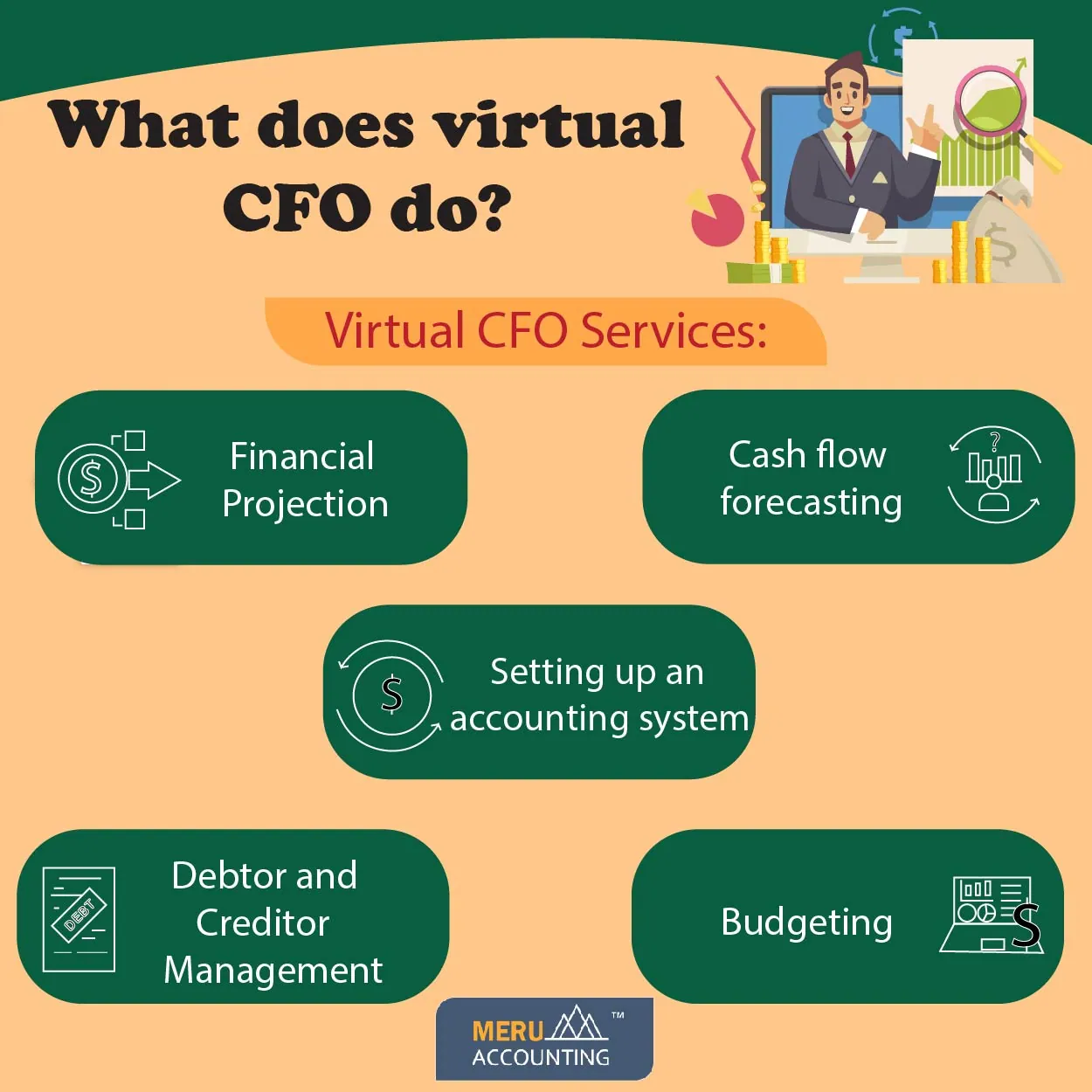 virtual cfo